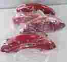 10022sfrdrd Mgp Caliper Covers Ford Oval Logo W Red Powder Coat Finish 4 Pack 889873020724