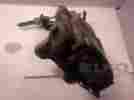 50381 122344480 07 08 09 10 11 12 13 14 Jaguar Xk Passenger Side Rear Caliper Oem Lkq