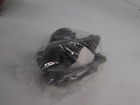 141.20023 14120023 Centric Parts Semi Loaded Friction Caliper 805890127598