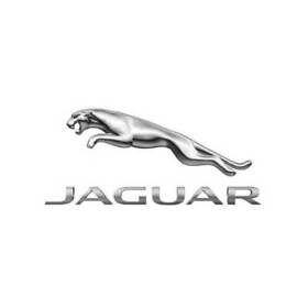Xr853294 Genuine Jaguar Disc Brake Caliper Bolt