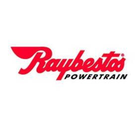 Rcp96-383 Raybestos Friction Module
