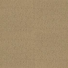 Tcwlm50144 Lloyd Mats Classic Loop 652012472230