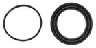 Ck351473 Wk1473 Raybestos Disc Brake Caliper Seal Plus 030999096081