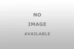 Dorman 924421 Mounting Bracket For Reliable Support. Fixed Price $111.99.