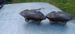 Cadillac Ats 13-19 2.0L Turbo Oem Brembo Front Wheel Caliper Brakes. Fixed Price $249.99.