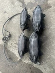 2010-2015 Chevrolet Camaro Oem Brembo Brake Calipers Set Front Rear. Fixed Price $350.00.