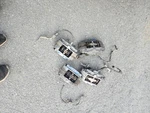 04-07 Volvo S60R V70R Set Of Calipers 86026820 86026838. Fixed Price $500.00.