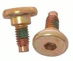 Frt Brake Caliper Bolt/pin Raybestos H5019W. Fixed Price $21.19.