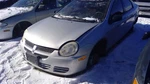 Passenger Right Caliper Rear Without Abs Fits 00-05 Neon 287742. Fixed Price $69.99.