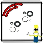 Rear Disc Brake Caliper Rebuild Repair Kit For Honda S2000 2000-2009. Fixed Price $30.99.