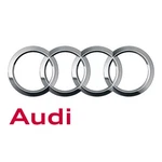 Genuine Audi Caliper 1J0-615-424-B. Fixed Price $311.84.