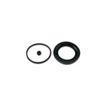 Carlson Disc Brake Caliper Repair Kit 15137. Fixed Price $17.40.