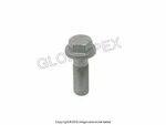 For Porsche Cayenne '03-'10 Front 16 X 48 Mm Brake Caliper Bolt Genuine. Fixed Price $21.40.