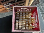 Disc Brake Bolt-caliper Bolt/pin Front,rear Wagner F99335S. Fixed Price $12.00.