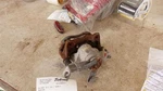 Driver Left Caliper Rear Fits 14-18 Mazda 1895328. Fixed Price $69.00.