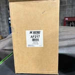 Hastings Premium Filters AF217 Air. Fixed Price $29.99.