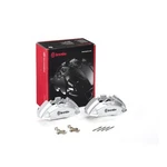 Brembo FALE22 Disc Brake Caliper Front Left For 2017 Mercedes-benz E300. Fixed Price $1243.69.