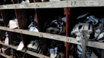 Passenger Right Front Brake Caliper Fits 90 New Yorker 13175. Fixed Price $50.00.
