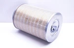 Hastings AF217 Air Filter Nos. Fixed Price $39.70.