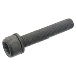 Febi Bilstein 48817 Disc Brake Caliper Bolt. Fixed Price $25.99.