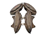 2010-2015 Chevy Camaro Ss ZL1 Front Rear Brembo Brake Caliper Set Of 4 Oem. Fixed Price $399.99.