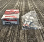 Raybestos H17003: R-line Brake Caliper Bracket Mounting Bolt. Fixed Price $19.99.