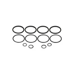 O-ring Kit For Early Strange 4-PISTON Caliper. Fixed Price $26.46.